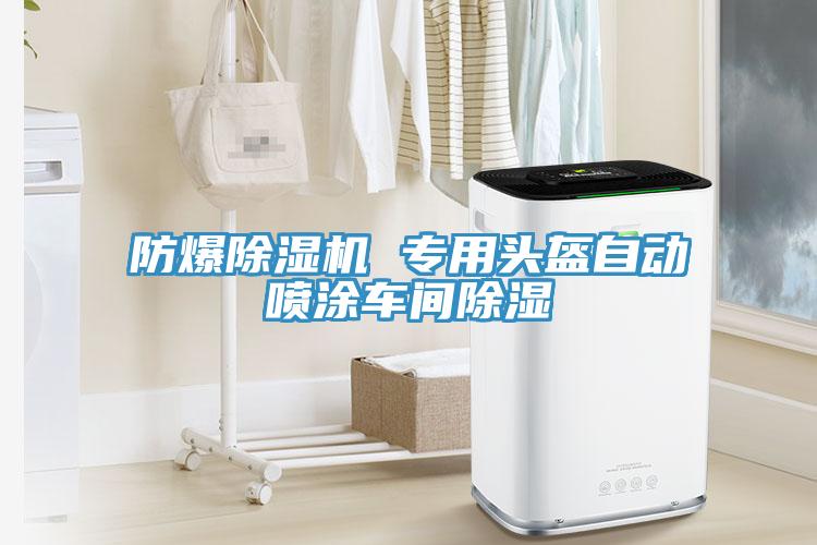 防爆好色先生在线播放 專用頭盔自動噴塗車間除濕