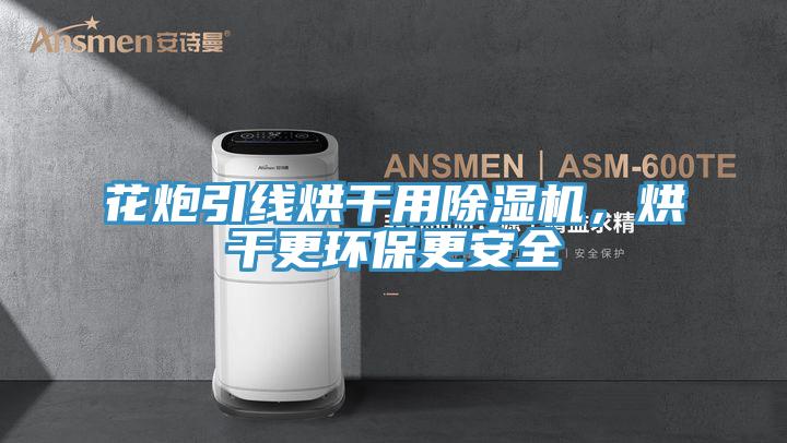 花炮引線烘幹用好色先生在线播放，烘幹更環保更安全