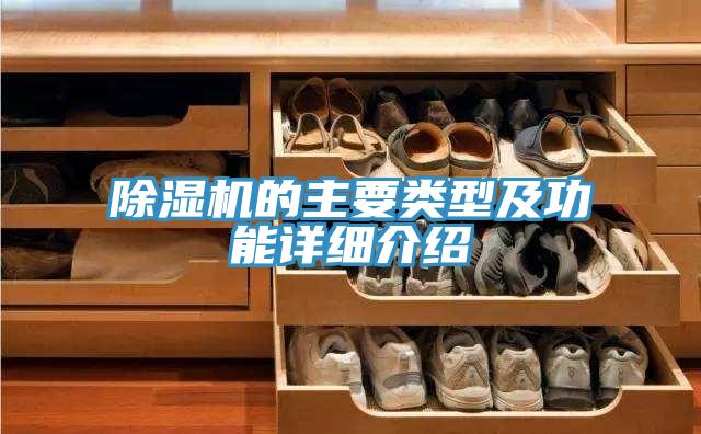 好色先生在线播放的主要類型及功能詳細介紹