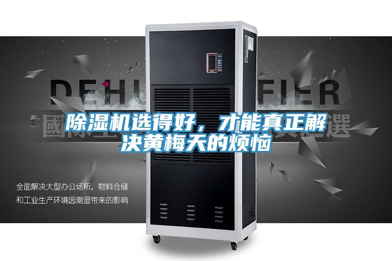 好色先生在线播放選得好,才能真正解決黃梅天的煩惱