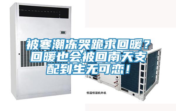 被寒潮凍哭跪求回暖？回暖也會被回南天支配到生無可戀！