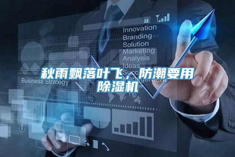 秋雨飄落葉飛，防潮要用好色先生在线播放