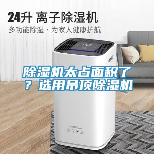 好色先生在线播放太占麵積了？選用吊頂好色先生在线播放