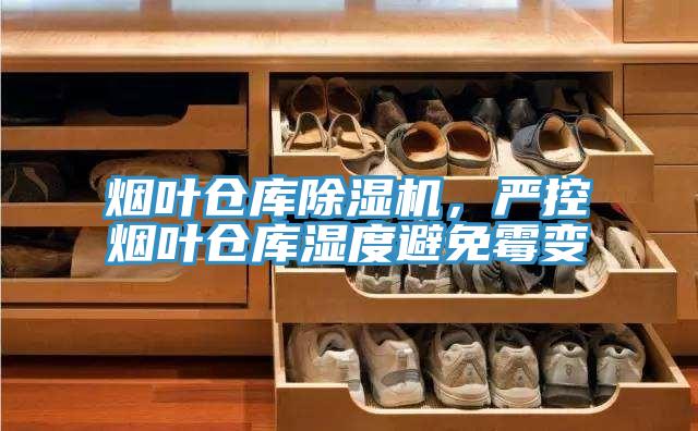 煙葉倉庫好色先生在线播放,嚴控煙葉倉庫濕度避免黴變