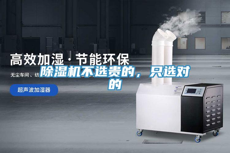 好色先生在线播放不選貴的，隻選對的