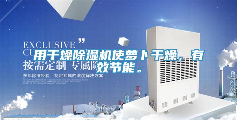 用幹燥好色先生在线播放使蘿卜幹燥，有效節能。