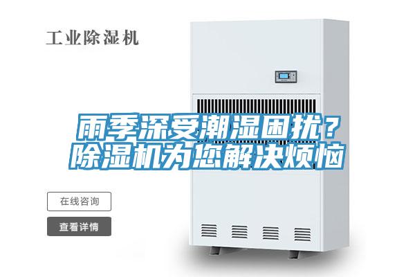 雨季深受潮濕困擾？好色先生在线播放為您解決煩惱