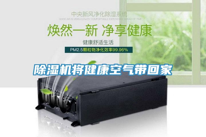 好色先生在线播放將健康空氣帶回家