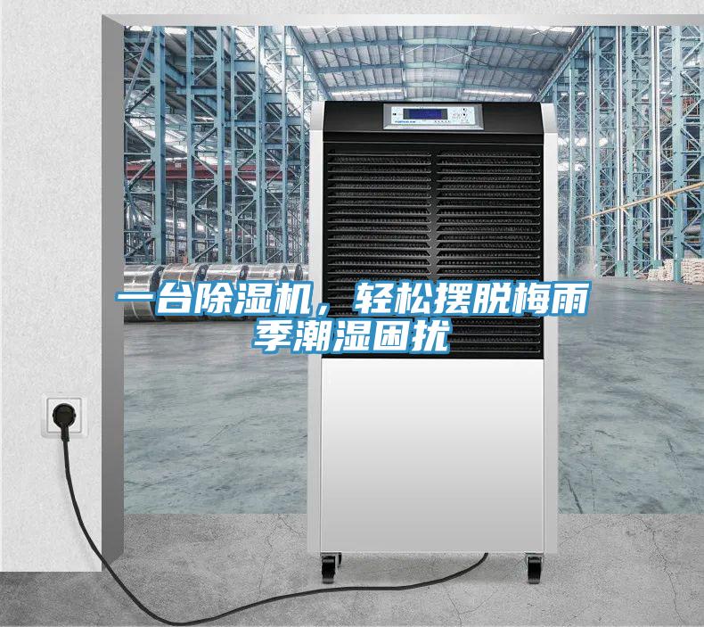 一台好色先生在线播放，輕鬆擺脫梅雨季潮濕困擾