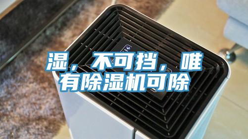 濕,不可擋,唯有好色先生在线播放可除