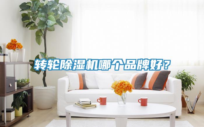 轉輪好色先生在线播放哪個品牌好？