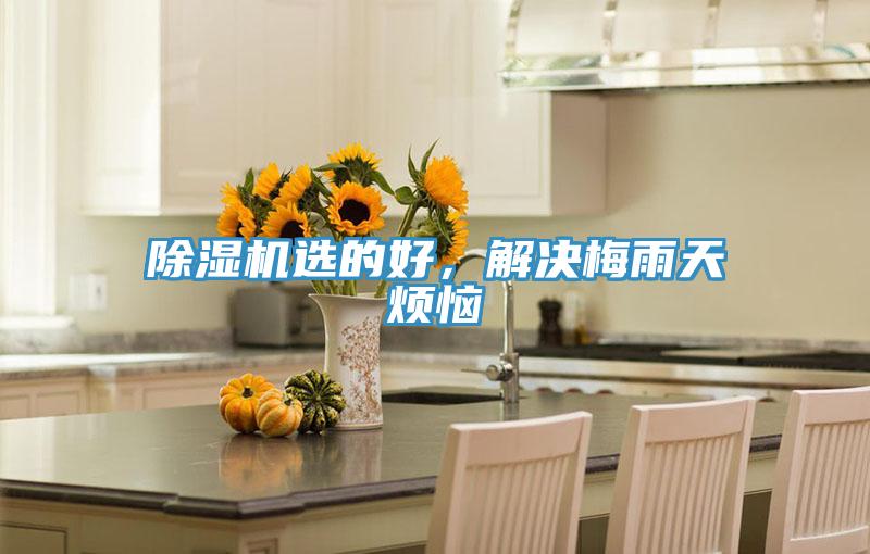 好色先生在线播放選的好,解決梅雨天煩惱