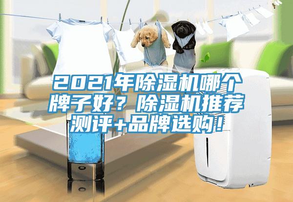 2021年好色先生在线播放哪個牌子好?好色先生在线播放推薦測評+品牌選購!