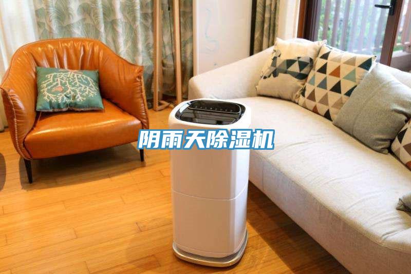 陰雨天好色先生在线播放