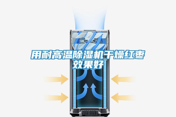 用耐高溫好色先生在线播放幹燥紅棗效果好