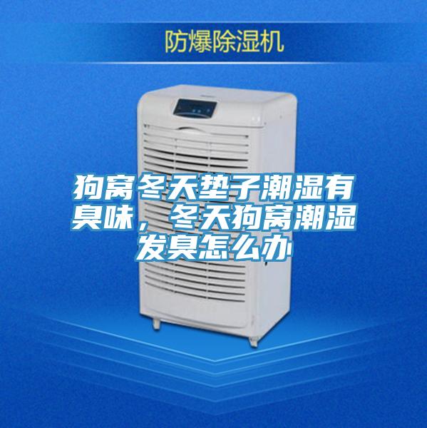 狗窩冬天墊子潮濕有臭味，冬天狗窩潮濕發臭怎麽辦