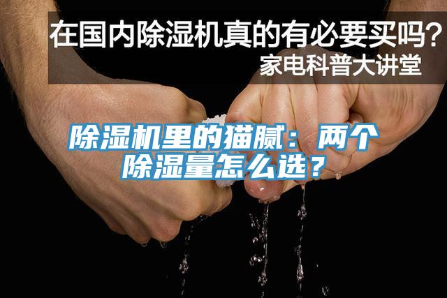 好色先生在线播放裏的貓膩：兩個除濕量怎麽選？