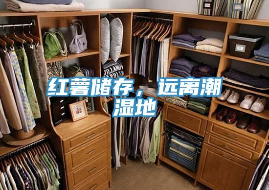 紅薯儲存,遠離潮濕地