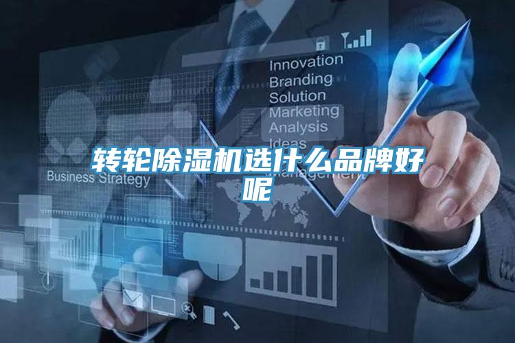 轉輪好色先生在线播放選什麽品牌好呢