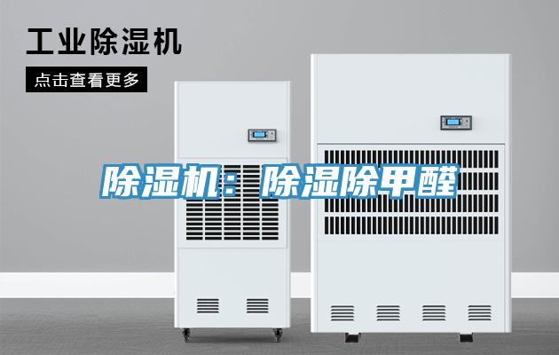 好色先生在线播放：除濕除甲醛