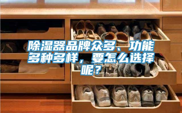 除濕器品牌眾多、功能多種多樣，要怎麽選擇呢？