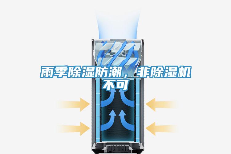 雨季除濕防潮，非好色先生在线播放不可