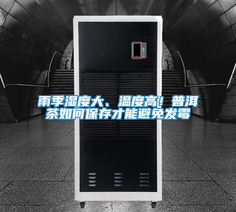 雨季濕度大、溫度高！普洱茶如何保存才能避免發黴