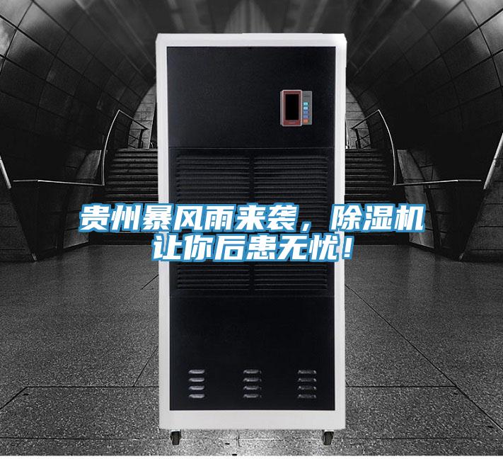 貴州暴風雨來襲,好色先生在线播放讓你後患無憂!