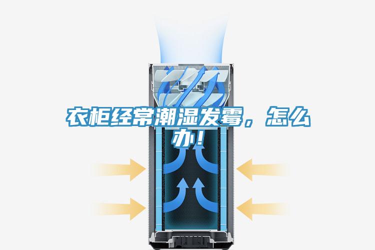 衣櫃經常潮濕發黴，怎麽辦！