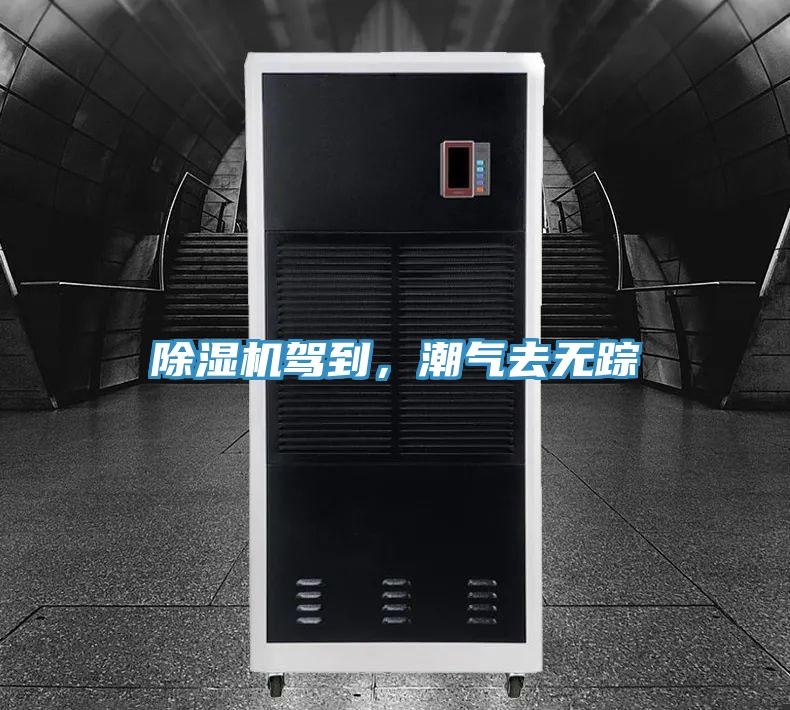 好色先生在线播放駕到，潮氣去無蹤