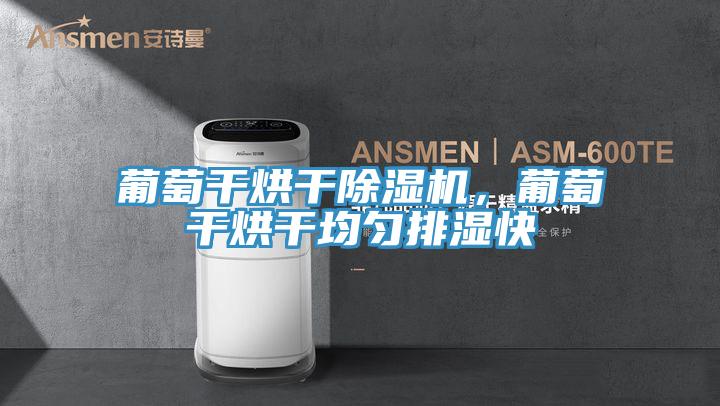 葡萄幹烘幹好色先生在线播放，葡萄幹烘幹均勻排濕快