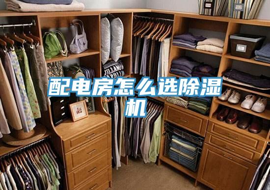 配電房怎麽選好色先生在线播放