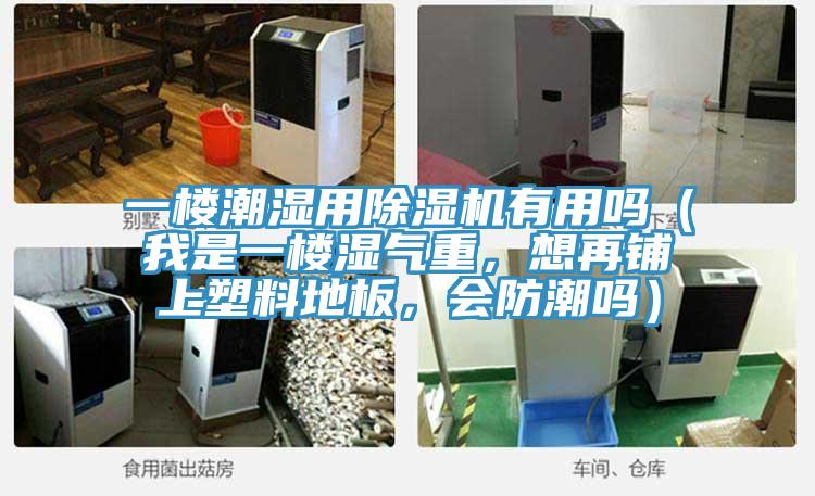 一樓潮濕用好色先生在线播放有用嗎（我是一樓濕氣重，想再鋪上塑料地板，會防潮嗎）