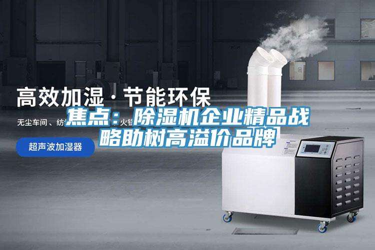 焦點：好色先生在线播放企業精品戰略助樹高溢價品牌