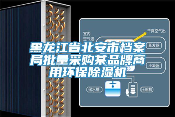 黑龍江省北安市檔案局批量采購某品牌商用環保好色先生在线播放