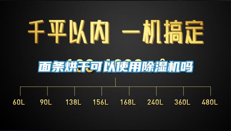 麵條烘幹可以使用好色先生在线播放嗎