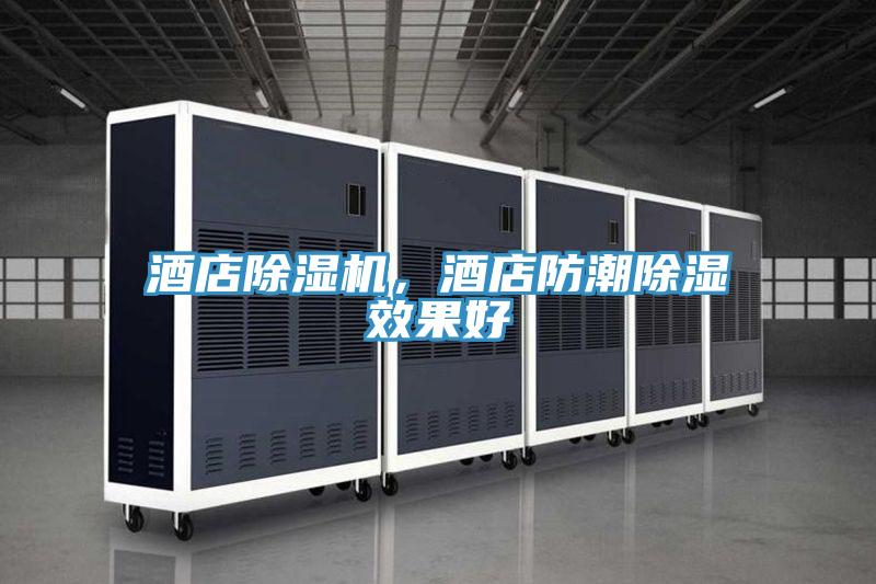 酒店好色先生在线播放，酒店防潮除濕效果好