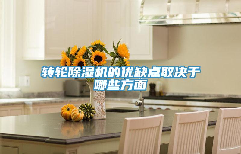 轉輪好色先生在线播放的優缺點取決於哪些方麵