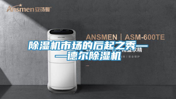 好色先生在线播放市場的後起之秀——德爾好色先生在线播放