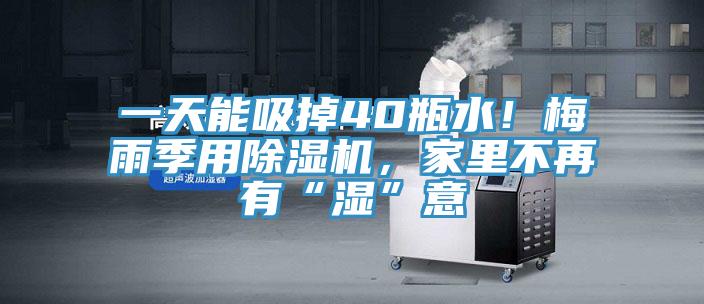 一天能吸掉40瓶水！梅雨季用好色先生在线播放，家裏不再有“濕”意