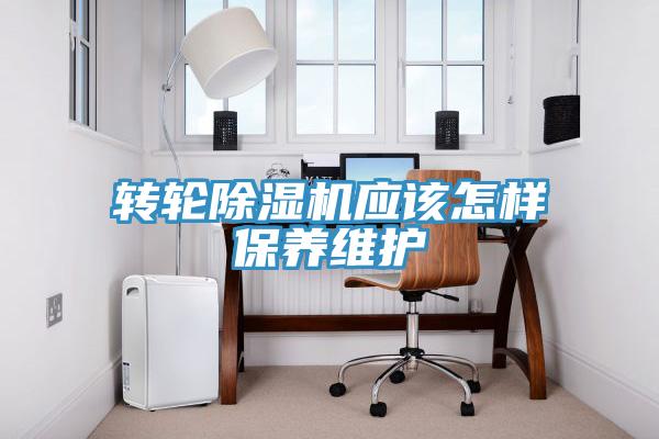 轉輪好色先生在线播放應該怎樣保養維護