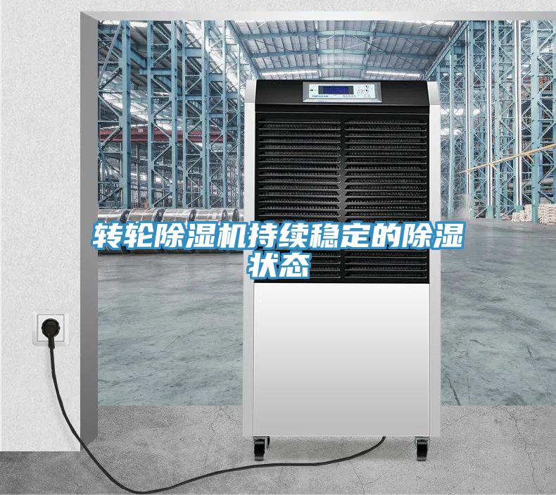 轉輪好色先生在线播放持續穩定的除濕狀態