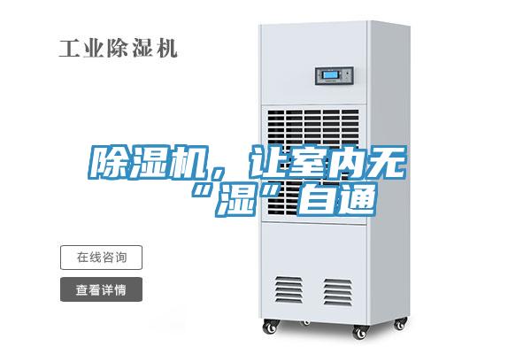 好色先生在线播放，讓室內無“濕”自通