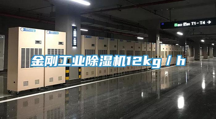 金剛工業好色先生在线播放12kg／h