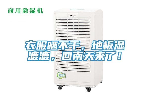 衣服曬不幹，地板濕漉漉，回南天來了！