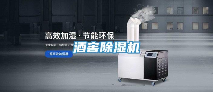 酒窖好色先生在线播放