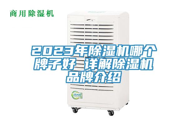 2023年好色先生在线播放哪個牌子好 詳解好色先生在线播放品牌介紹
