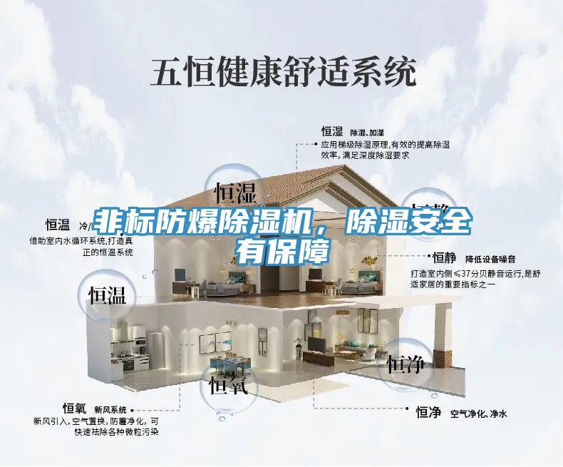 非標防爆好色先生在线播放，除濕安全有保障