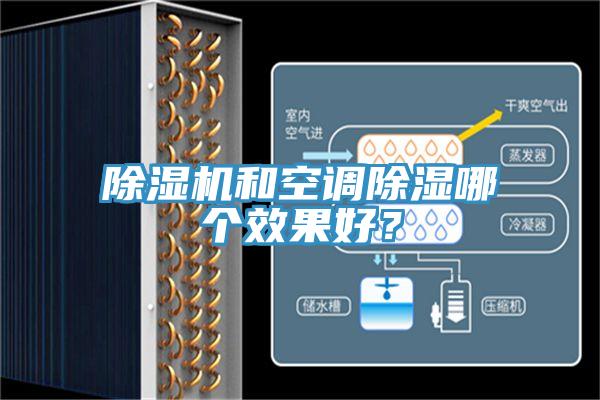 好色先生在线播放和空調除濕哪個效果好？