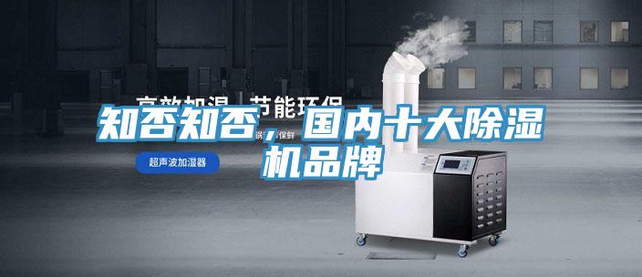 知否知否，國內十大好色先生在线播放品牌